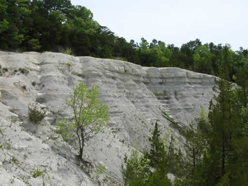 The Annona Formation at Whitecliffs near Millwood Lake