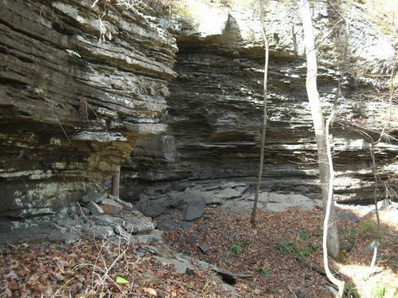 Bloyd Formation near Phillips Ford