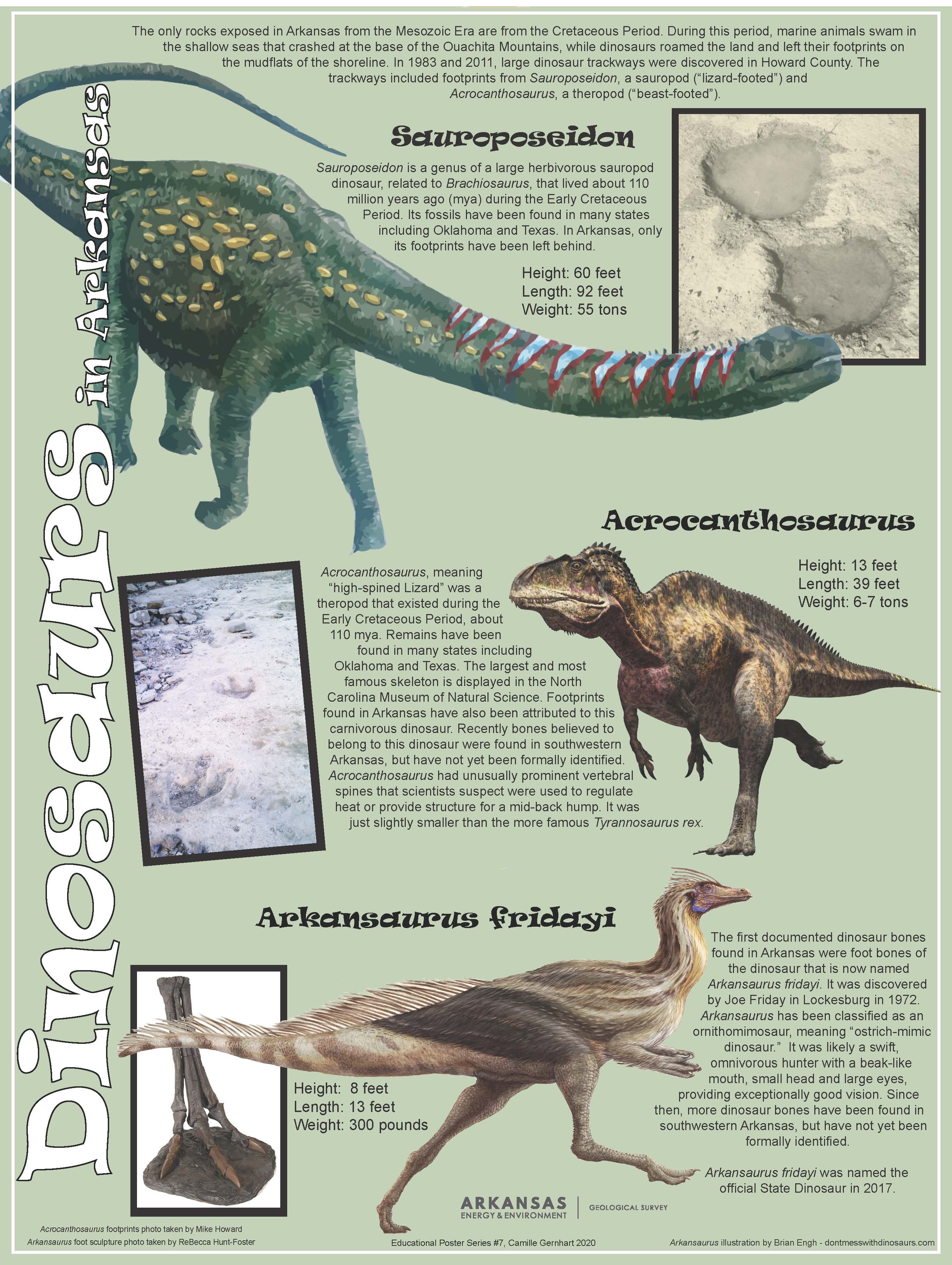 Dinosaurs in Arkansas Poster 2020