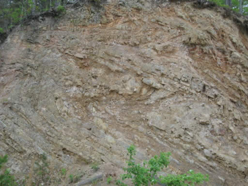 Folded strata in he Big Fork Chert near Hot Springs