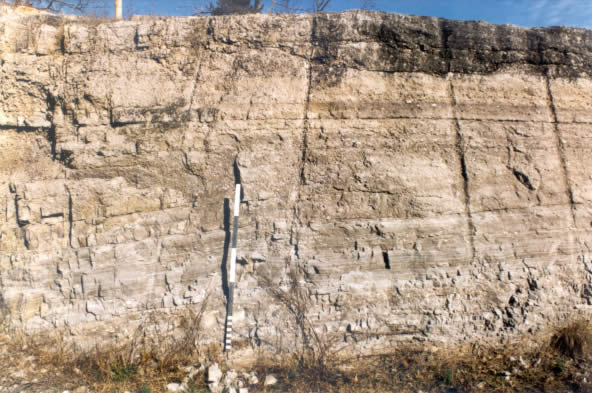 dolostone in the Cotter Formation at Cotter, AR