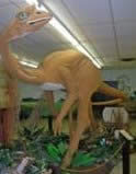 Dinosaur at display at the Geology Learning Center