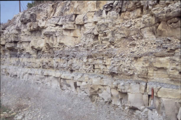 dolostone with interbedded shale in the Powell Foramtion