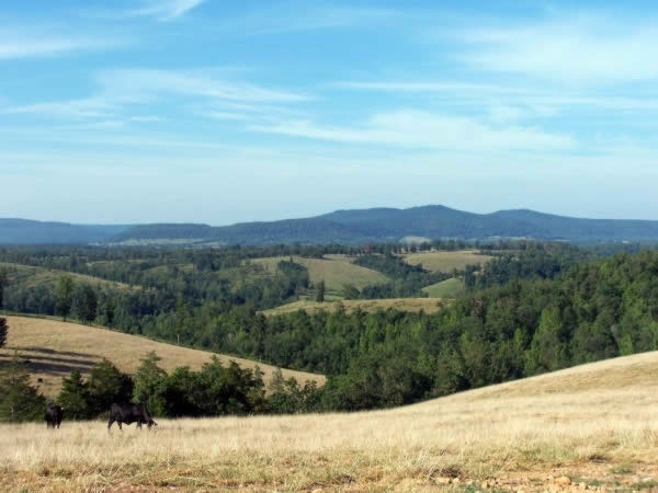 The Springfield Plateau (foreground) near Marshall, Arkansas.