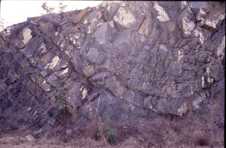 Syniclinal fold in rocks near Hot Springs Arkansas
