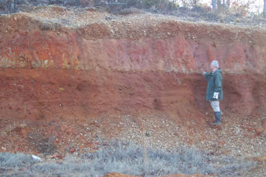 Quaternary terrace sand and gravels on top of Crowleys Ridge