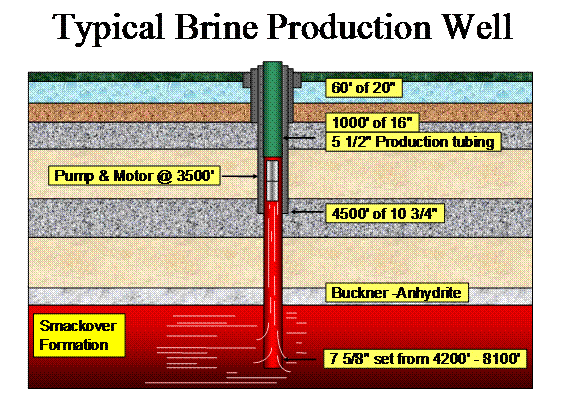 Schematic cross section of a typical brine production well