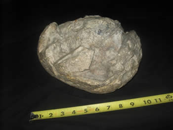 chert nodule