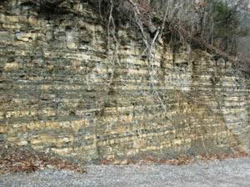 Upper portion of the Fayetteville Shale