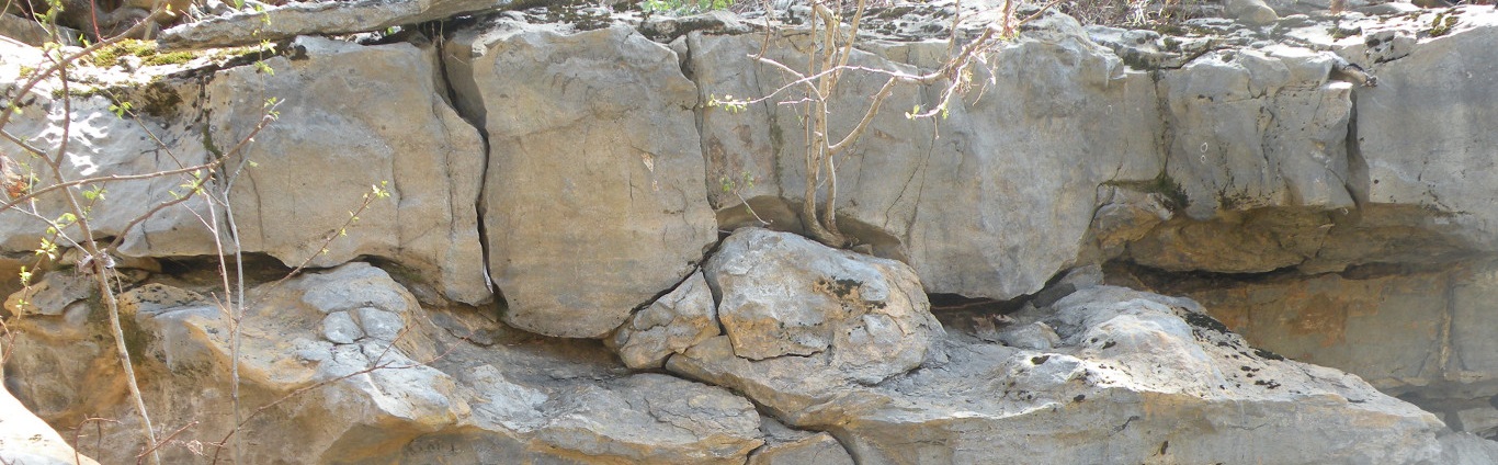 Third slide of the stratigraphic section of Arkansas