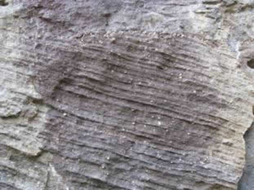 quartz pebbles and cross-bedding in the "middle Bloyd sandstone"
