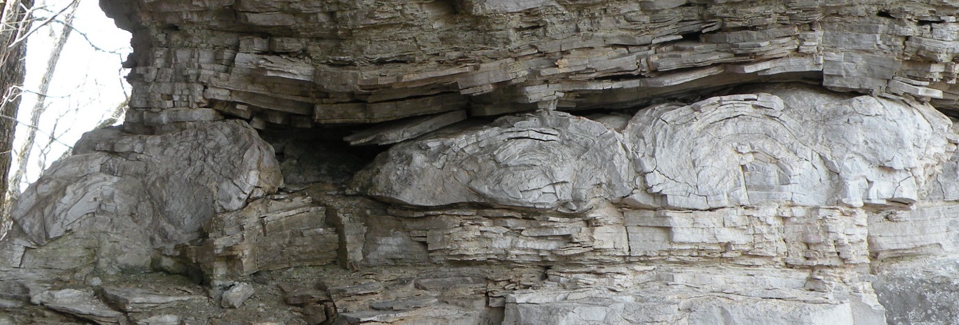 Second slide Ordovician period, stromatolites-top-everton