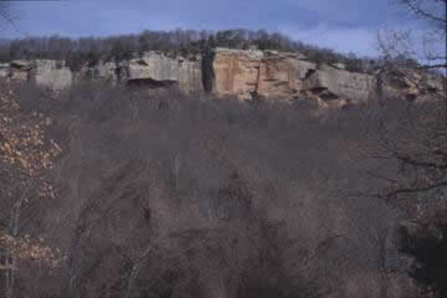 Typical bluff exposure