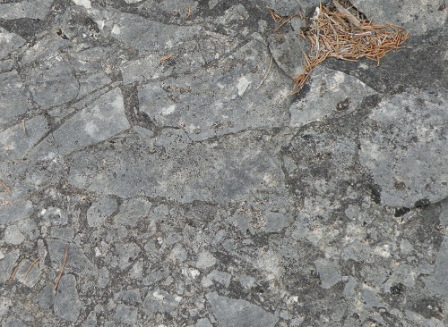 dolostone-breccia