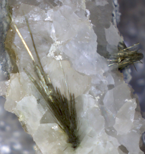 Nickel Millerite-Benton-Co.