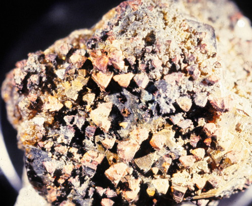 Copper-Oriented-chalcopyrite-on-sphalerite-Monte-Cristo-mine