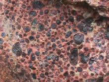 Pisolitic bauxite