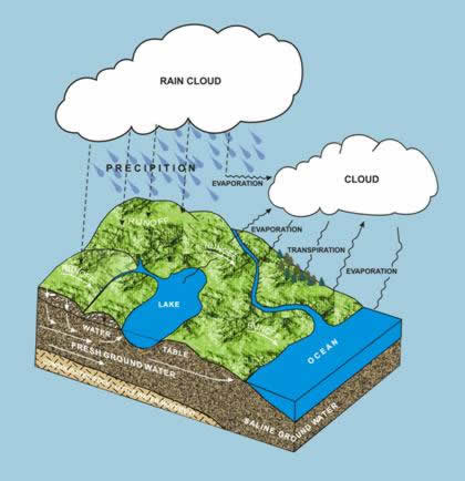 The Water Cycle